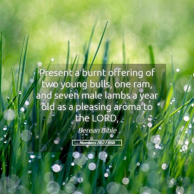 Picture 05 - Numbers 28:27 BSB - Present a burnt offering of two young bulls, one - Bible Verse Picture
