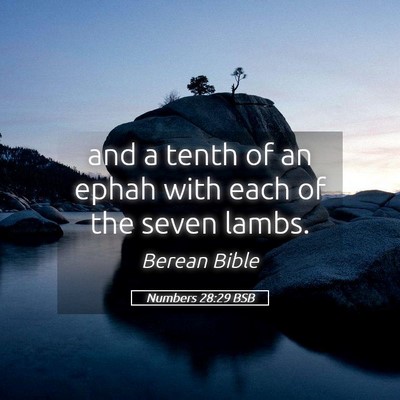 Picture 05 - Numbers 28:29 BSB - and a tenth of an ephah with each of the seven - Bible Verse Picture