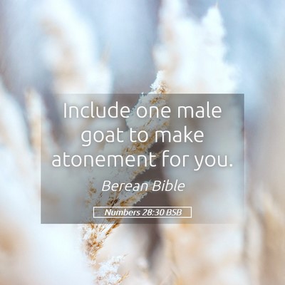 Picture 05 - Numbers 28:30 BSB - Include one male goat to make atonement for - Bible Verse Picture