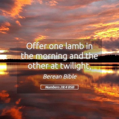 Picture 05 - Numbers 28:4 BSB - Offer one lamb in the morning and the other at - Bible Verse Picture