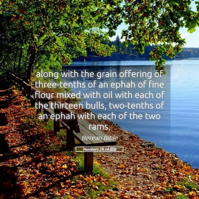 Picture 05 - Numbers 29:14 BSB - along with the grain offering of three-tenths of - Bible Verse Picture