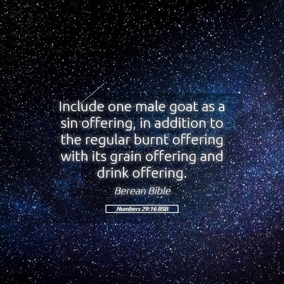 Picture 05 - Numbers 29:16 BSB - Include one male goat as a sin offering, in - Bible Verse Picture