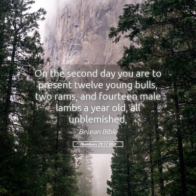 Picture 05 - Numbers 29:17 BSB - On the second day you are to present twelve young - Bible Verse Picture