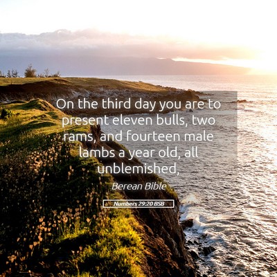Picture 05 - Numbers 29:20 BSB - On the third day you are to present eleven bulls, - Bible Verse Picture