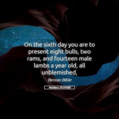 Picture 05 - Numbers 29:29 BSB - On the sixth day you are to present eight bulls, - Bible Verse Picture