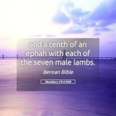 Picture 05 - Numbers 29:4 BSB - and a tenth of an ephah with each of the seven - Bible Verse Picture