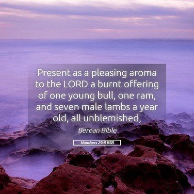 Picture 05 - Numbers 29:8 BSB - Present as a pleasing aroma to the LORD a burnt - Bible Verse Picture