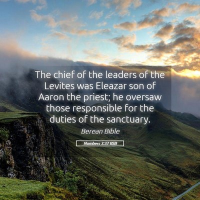 Picture 05 - Numbers 3:32 BSB - The chief of the leaders of the Levites was - Bible Verse Picture