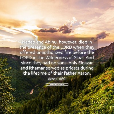 Picture 05 - Numbers 3:4 BSB - Nadab and Abihu, however, died in the presence of - Bible Verse Picture