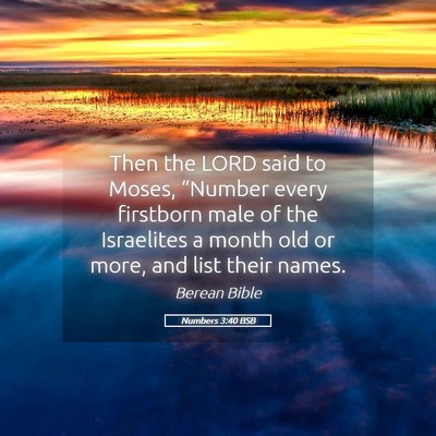 Picture 05 - Numbers 3:40 BSB - Then the LORD said to Moses, “Number every - Bible Verse Picture