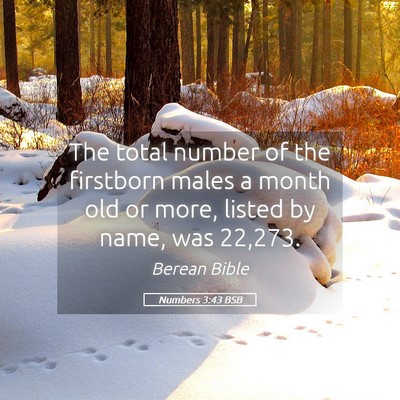 Picture 05 - Numbers 3:43 BSB - The total number of the firstborn males a month - Bible Verse Picture