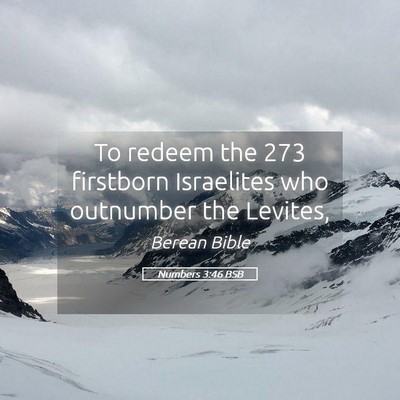 Picture 05 - Numbers 3:46 BSB - To redeem the 273 firstborn Israelites who - Bible Verse Picture
