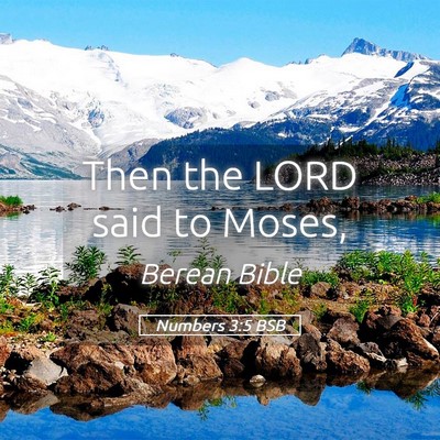 Picture 05 - Numbers 3:5 BSB - Then the LORD said to - Bible Verse Picture