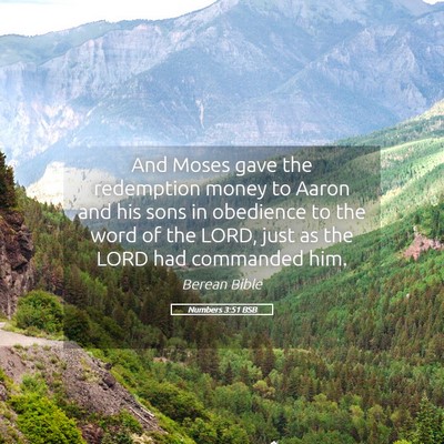 Picture 05 - Numbers 3:51 BSB - And Moses gave the redemption money to Aaron and - Bible Verse Picture