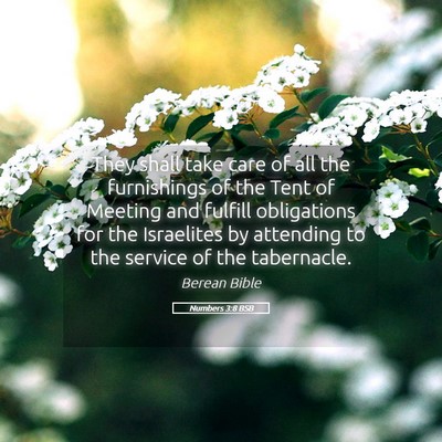 Picture 05 - Numbers 3:8 BSB - They shall take care of all the furnishings of - Bible Verse Picture
