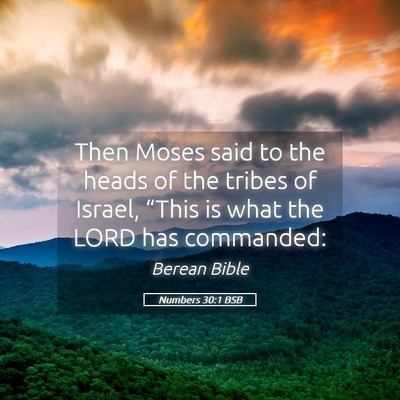 Picture 05 - Numbers 30:1 BSB - Then Moses said to the heads of the tribes of - Bible Verse Picture