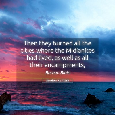 Picture 05 - Numbers 31:10 BSB - Then they burned all the cities where the - Bible Verse Picture