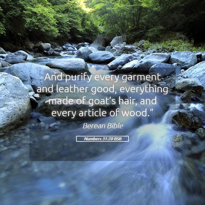 Picture 05 - Numbers 31:20 BSB - And purify every garment and leather good, - Bible Verse Picture