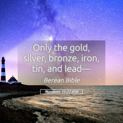 Picture 05 - Numbers 31:22 BSB - Only the gold, silver, bronze, iron, tin, and - Bible Verse Picture