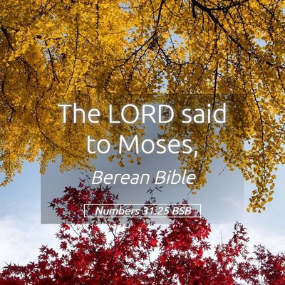 Picture 05 - Numbers 31:25 BSB - The LORD said to - Bible Verse Picture