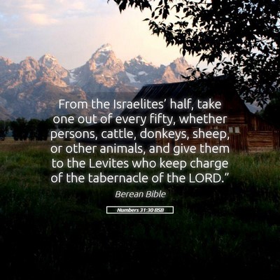 Picture 05 - Numbers 31:30 BSB - From the Israelites’ half, take one out of - Bible Verse Picture