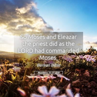 Picture 05 - Numbers 31:31 BSB - So Moses and Eleazar the priest did as the LORD - Bible Verse Picture