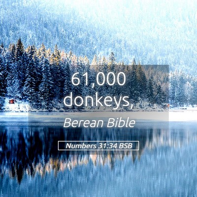 Picture 05 - Numbers 31:34 BSB - 61,000 - Bible Verse Picture
