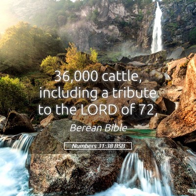 Picture 05 - Numbers 31:38 BSB - 36,000 cattle, including a tribute to the LORD of - Bible Verse Picture