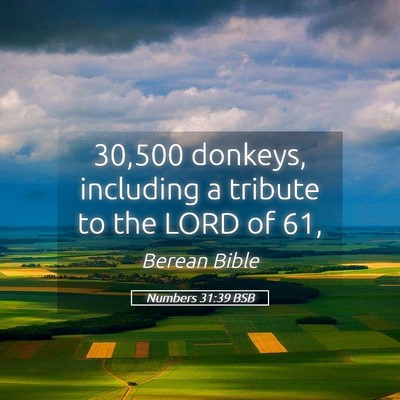 Picture 05 - Numbers 31:39 BSB - 30,500 donkeys, including a tribute to the LORD - Bible Verse Picture