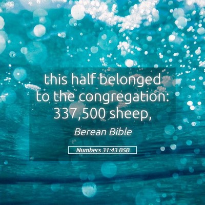 Picture 05 - Numbers 31:43 BSB - this half belonged to the congregation: 337,500 - Bible Verse Picture