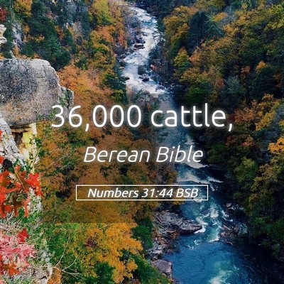 Picture 05 - Numbers 31:44 BSB - 36,000 - Bible Verse Picture