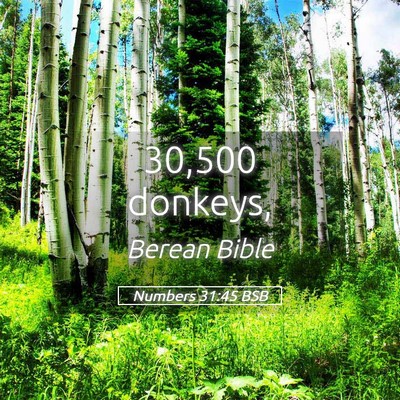 Picture 05 - Numbers 31:45 BSB - 30,500 - Bible Verse Picture