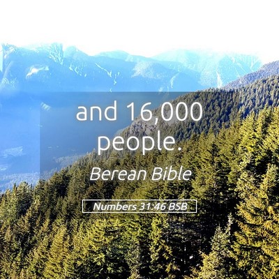 Picture 05 - Numbers 31:46 BSB - and 16,000 - Bible Verse Picture