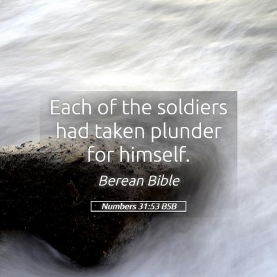 Picture 05 - Numbers 31:53 BSB - Each of the soldiers had taken plunder for - Bible Verse Picture