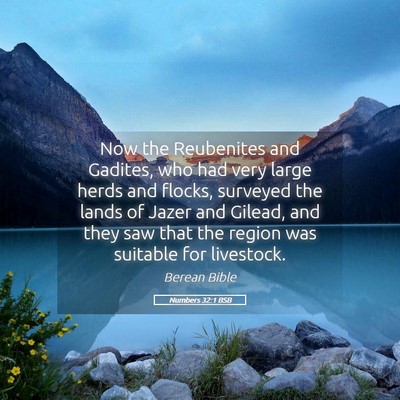 Picture 05 - Numbers 32:1 BSB - Now the Reubenites and Gadites, who had very - Bible Verse Picture