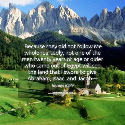 Picture 05 - Numbers 32:11 BSB - ‘Because they did not follow Me wholeheartedly, - Bible Verse Picture