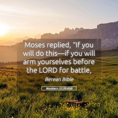 Picture 05 - Numbers 32:20 BSB - Moses replied, “If you will do this—if you - Bible Verse Picture