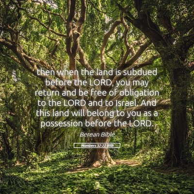 Picture 05 - Numbers 32:22 BSB - then when the land is subdued before the LORD, - Bible Verse Picture