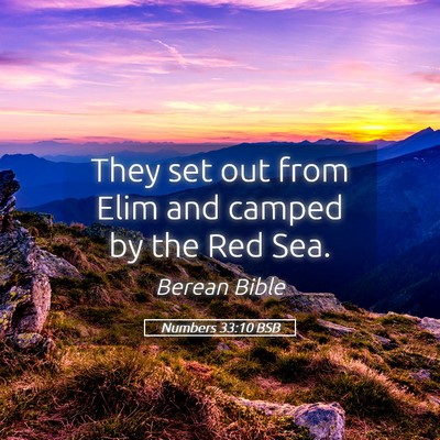 Picture 05 - Numbers 33:10 BSB - They set out from Elim and camped by the Red - Bible Verse Picture