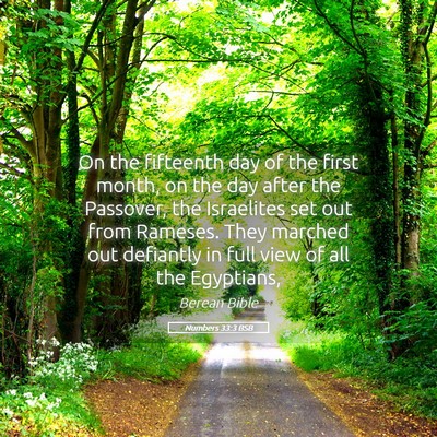 Picture 05 - Numbers 33:3 BSB - On the fifteenth day of the first month, on the - Bible Verse Picture