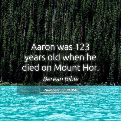 Picture 05 - Numbers 33:39 BSB - Aaron was 123 years old when he died on Mount - Bible Verse Picture