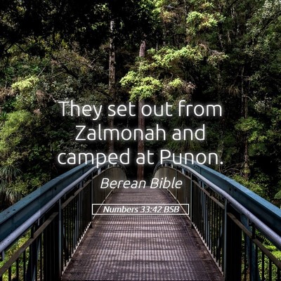 Picture 05 - Numbers 33:42 BSB - They set out from Zalmonah and camped at - Bible Verse Picture