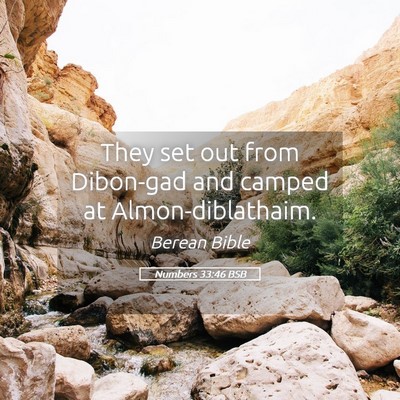 Picture 05 - Numbers 33:46 BSB - They set out from Dibon-gad and camped at - Bible Verse Picture