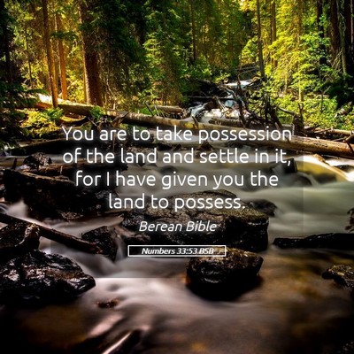 Picture 05 - Numbers 33:53 BSB - You are to take possession of the land and settle - Bible Verse Picture