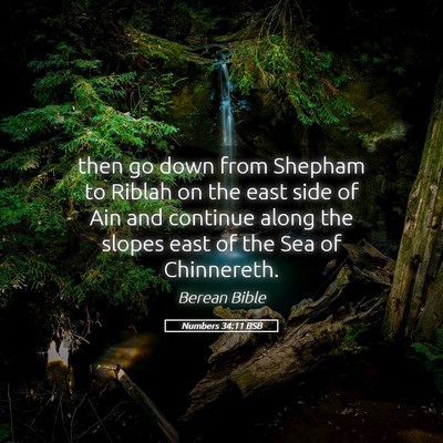 Picture 05 - Numbers 34:11 BSB - then go down from Shepham to Riblah on the east - Bible Verse Picture
