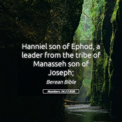 Picture 05 - Numbers 34:23 BSB - Hanniel son of Ephod, a leader from the tribe of - Bible Verse Picture