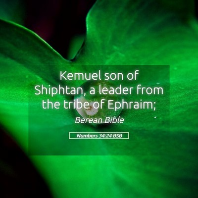 Picture 05 - Numbers 34:24 BSB - Kemuel son of Shiphtan, a leader from the tribe - Bible Verse Picture