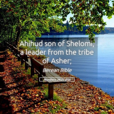 Picture 05 - Numbers 34:27 BSB - Ahihud son of Shelomi, a leader from the tribe of - Bible Verse Picture