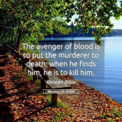 Picture 05 - Numbers 35:19 BSB - The avenger of blood is to put the murderer to - Bible Verse Picture