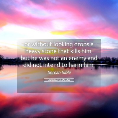 Picture 05 - Numbers 35:23 BSB - or without looking drops a heavy stone that kills - Bible Verse Picture